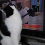 ヒメ日記 2025/03/21 17:57 投稿 ユーコ☆金津随一の神業テク ヴィーナス(金津園)