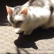 ヒメ日記 2025/03/22 12:12 投稿 ユーコ☆金津随一の神業テク ヴィーナス(金津園)