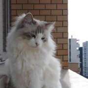 ヒメ日記 2025/03/23 20:27 投稿 ユーコ☆金津随一の神業テク ヴィーナス(金津園)