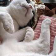 ヒメ日記 2025/03/25 20:03 投稿 ユーコ☆金津随一の神業テク ヴィーナス(金津園)