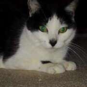 ヒメ日記 2025/03/26 17:48 投稿 ユーコ☆金津随一の神業テク ヴィーナス(金津園)