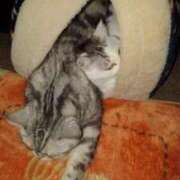 ヒメ日記 2025/03/27 19:27 投稿 ユーコ☆金津随一の神業テク ヴィーナス(金津園)