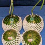 ヒメ日記 2025/03/29 23:18 投稿 ユーコ☆金津随一の神業テク ヴィーナス(金津園)