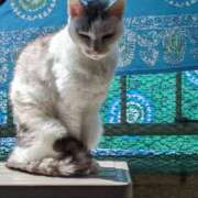 ヒメ日記 2025/03/30 12:27 投稿 ユーコ☆金津随一の神業テク ヴィーナス(金津園)