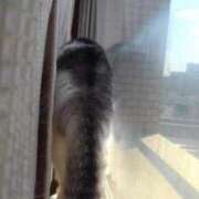 ヒメ日記 2025/03/31 17:57 投稿 ユーコ☆金津随一の神業テク ヴィーナス(金津園)