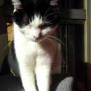 ヒメ日記 2025/04/03 17:18 投稿 ユーコ☆金津随一の神業テク ヴィーナス(金津園)