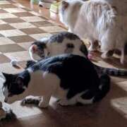 ヒメ日記 2025/04/04 18:03 投稿 ユーコ☆金津随一の神業テク ヴィーナス(金津園)