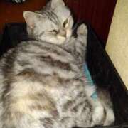 ヒメ日記 2025/04/05 12:03 投稿 ユーコ☆金津随一の神業テク ヴィーナス(金津園)