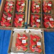 ヒメ日記 2025/04/05 23:06 投稿 ユーコ☆金津随一の神業テク ヴィーナス(金津園)