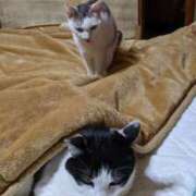 ヒメ日記 2025/04/06 20:18 投稿 ユーコ☆金津随一の神業テク ヴィーナス(金津園)