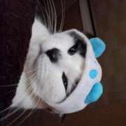 ヒメ日記 2025/04/07 17:33 投稿 ユーコ☆金津随一の神業テク ヴィーナス(金津園)