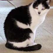 ヒメ日記 2025/04/12 12:18 投稿 ユーコ☆金津随一の神業テク ヴィーナス(金津園)