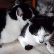 ヒメ日記 2025/04/13 12:33 投稿 ユーコ☆金津随一の神業テク ヴィーナス(金津園)