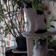 ヒメ日記 2025/04/14 17:48 投稿 ユーコ☆金津随一の神業テク ヴィーナス(金津園)