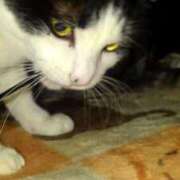 ヒメ日記 2025/04/17 18:48 投稿 ユーコ☆金津随一の神業テク ヴィーナス(金津園)