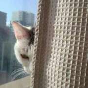 ヒメ日記 2025/04/20 20:21 投稿 ユーコ☆金津随一の神業テク ヴィーナス(金津園)