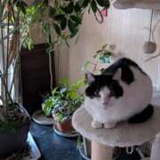 ヒメ日記 2025/04/22 17:18 投稿 ユーコ☆金津随一の神業テク ヴィーナス(金津園)