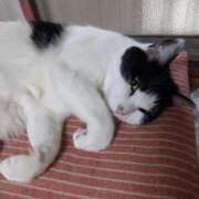 ヒメ日記 2025/04/23 18:18 投稿 ユーコ☆金津随一の神業テク ヴィーナス(金津園)