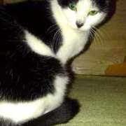 ヒメ日記 2025/04/25 18:27 投稿 ユーコ☆金津随一の神業テク ヴィーナス(金津園)