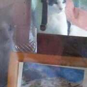 ヒメ日記 2025/04/26 21:33 投稿 ユーコ☆金津随一の神業テク ヴィーナス(金津園)