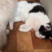 ヒメ日記 2025/04/27 22:42 投稿 ユーコ☆金津随一の神業テク ヴィーナス(金津園)