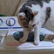 ヒメ日記 2025/04/28 17:57 投稿 ユーコ☆金津随一の神業テク ヴィーナス(金津園)