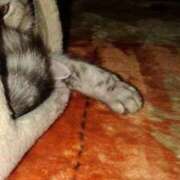 ヒメ日記 2025/04/29 19:57 投稿 ユーコ☆金津随一の神業テク ヴィーナス(金津園)