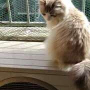 ヒメ日記 2025/04/30 18:42 投稿 ユーコ☆金津随一の神業テク ヴィーナス(金津園)