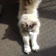 ヒメ日記 2025/05/01 11:57 投稿 ユーコ☆金津随一の神業テク ヴィーナス(金津園)