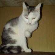 ヒメ日記 2025/05/02 19:12 投稿 ユーコ☆金津随一の神業テク ヴィーナス(金津園)