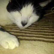 ヒメ日記 2025/05/03 11:48 投稿 ユーコ☆金津随一の神業テク ヴィーナス(金津園)