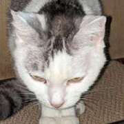 ヒメ日記 2025/05/03 13:12 投稿 ユーコ☆金津随一の神業テク ヴィーナス(金津園)