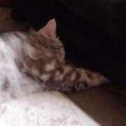 ヒメ日記 2025/05/03 21:42 投稿 ユーコ☆金津随一の神業テク ヴィーナス(金津園)