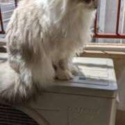 ヒメ日記 2025/05/04 20:06 投稿 ユーコ☆金津随一の神業テク ヴィーナス(金津園)