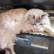 ヒメ日記 2025/05/06 18:27 投稿 ユーコ☆金津随一の神業テク ヴィーナス(金津園)