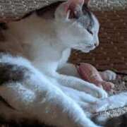 ヒメ日記 2025/05/07 18:03 投稿 ユーコ☆金津随一の神業テク ヴィーナス(金津園)