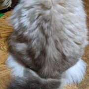 ヒメ日記 2025/05/09 17:33 投稿 ユーコ☆金津随一の神業テク ヴィーナス(金津園)