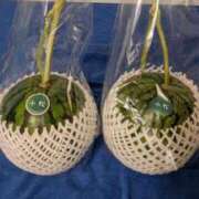 ヒメ日記 2025/05/10 22:57 投稿 ユーコ☆金津随一の神業テク ヴィーナス(金津園)