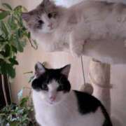 ヒメ日記 2025/05/11 12:12 投稿 ユーコ☆金津随一の神業テク ヴィーナス(金津園)