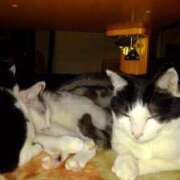 ヒメ日記 2025/05/11 21:33 投稿 ユーコ☆金津随一の神業テク ヴィーナス(金津園)