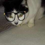 ヒメ日記 2025/05/12 18:57 投稿 ユーコ☆金津随一の神業テク ヴィーナス(金津園)