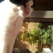 ヒメ日記 2025/05/13 19:03 投稿 ユーコ☆金津随一の神業テク ヴィーナス(金津園)