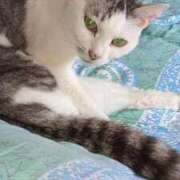 ヒメ日記 2025/05/18 20:12 投稿 ユーコ☆金津随一の神業テク ヴィーナス(金津園)