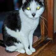 ヒメ日記 2025/05/19 18:03 投稿 ユーコ☆金津随一の神業テク ヴィーナス(金津園)