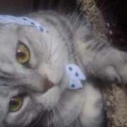 ヒメ日記 2025/05/20 18:36 投稿 ユーコ☆金津随一の神業テク ヴィーナス(金津園)