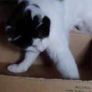 ヒメ日記 2025/05/21 18:42 投稿 ユーコ☆金津随一の神業テク ヴィーナス(金津園)