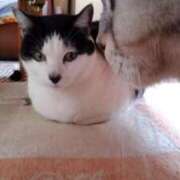 ヒメ日記 2025/05/23 17:42 投稿 ユーコ☆金津随一の神業テク ヴィーナス(金津園)