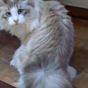 ヒメ日記 2025/05/24 12:27 投稿 ユーコ☆金津随一の神業テク ヴィーナス(金津園)