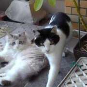 ヒメ日記 2025/05/25 23:12 投稿 ユーコ☆金津随一の神業テク ヴィーナス(金津園)