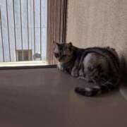 ヒメ日記 2025/05/26 18:33 投稿 ユーコ☆金津随一の神業テク ヴィーナス(金津園)